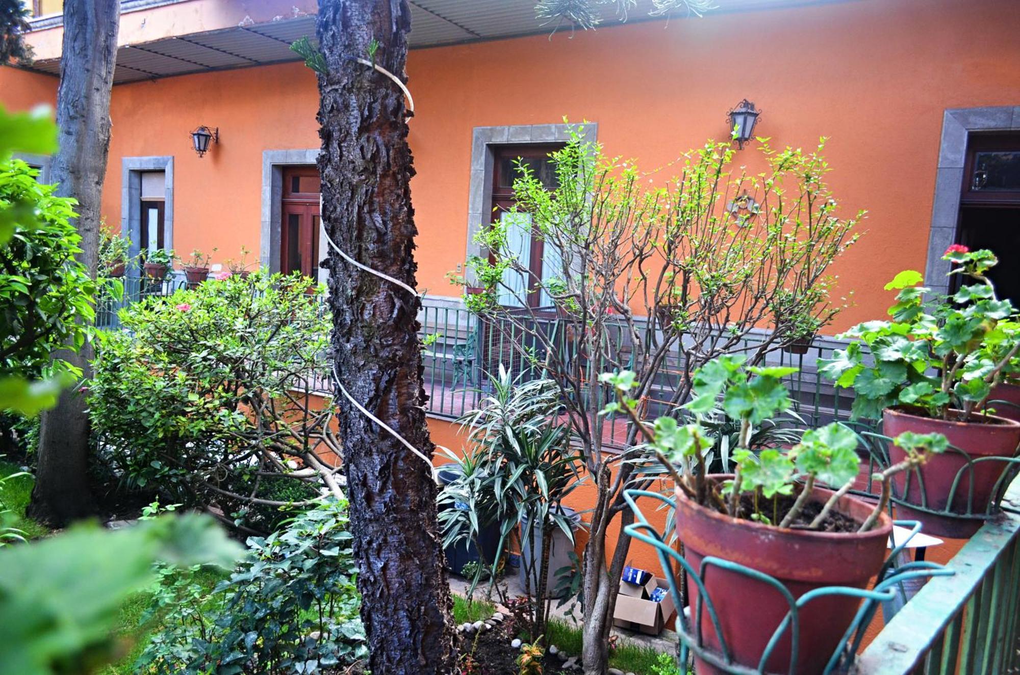 Hacienda Gobernadores Città del Messico Esterno foto