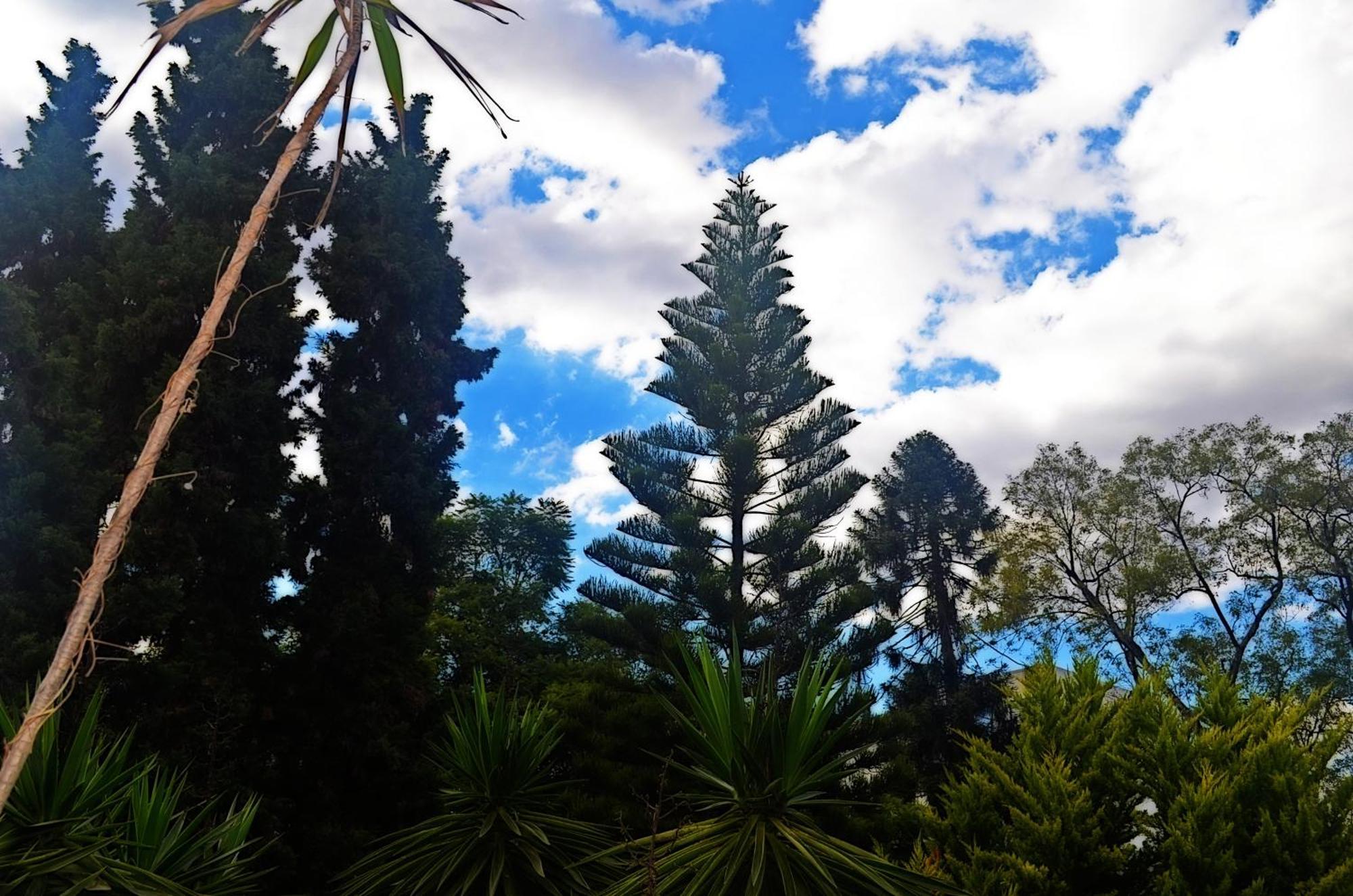 Hacienda Gobernadores Città del Messico Esterno foto