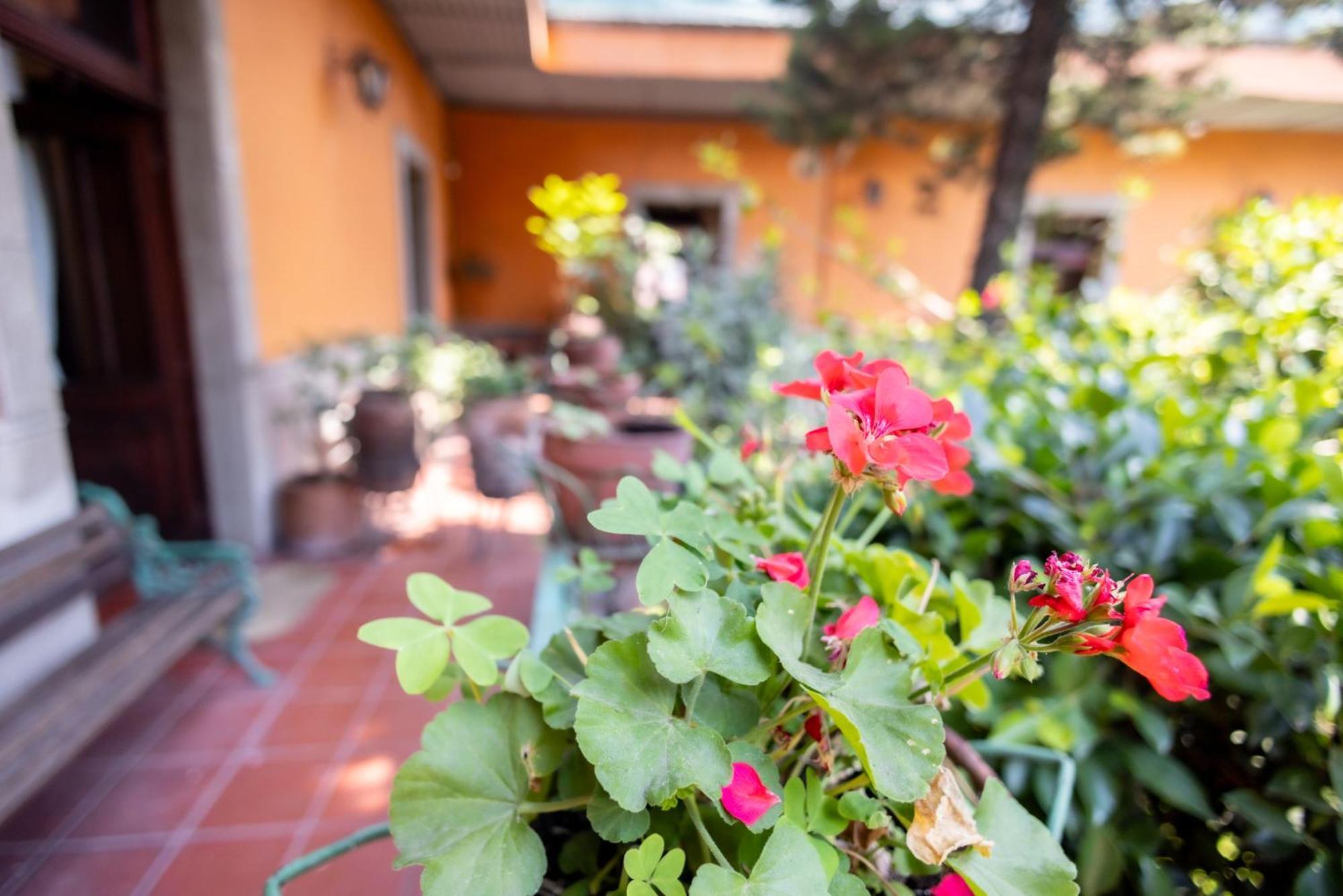 Hacienda Gobernadores Città del Messico Esterno foto